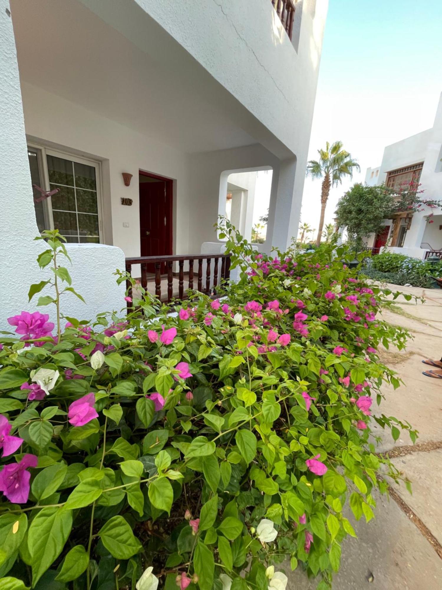 Delta Sharm Apartments With Free Internet Wi-Fi Екстер'єр фото